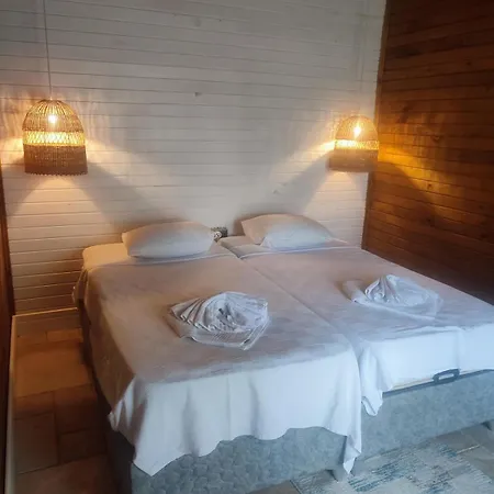 Hayat Agaci Villa Üzümlü
