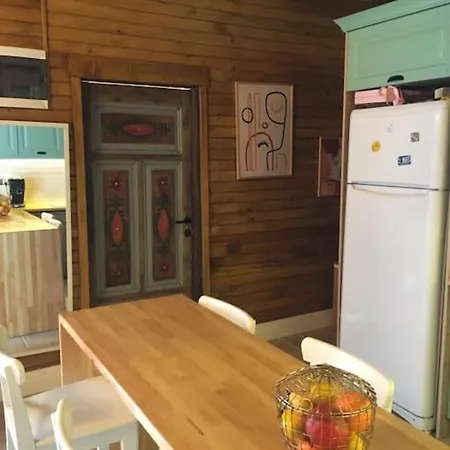 Hayat Agaci Villas 페티예