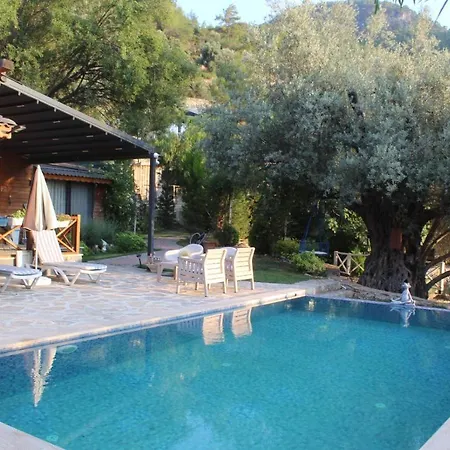 Hayat Agaci Villas 페티예