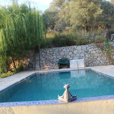 Hayat Agaci Villas Villa *