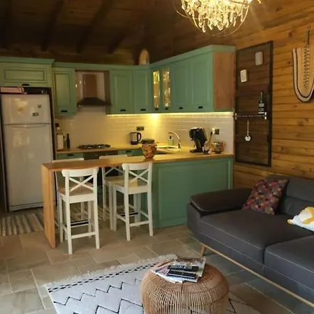 Hayat Agaci Villas Villa