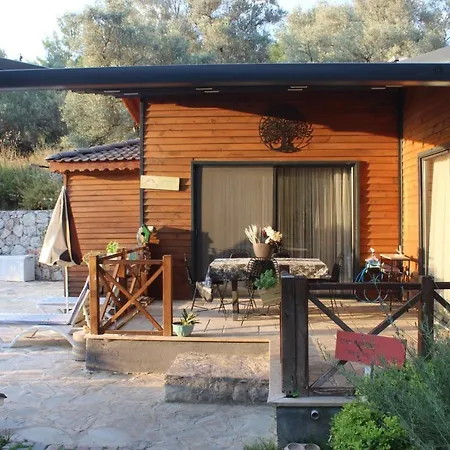 Hayat Agaci Villas * Fethiye